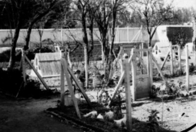 Granja de gallinas
