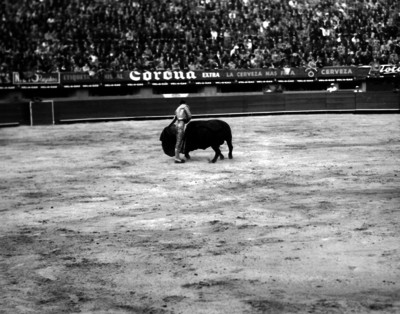 Carlos Arruza torea de capa en la plaza de toros
