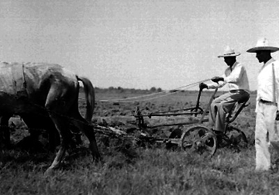 Agricultor manejando una yunta tirada por mulas
