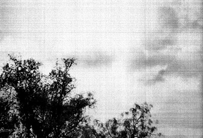 Nubes sobre unos árboles