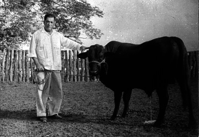 Hombre sosteniendo con lazo a un toro cebú en un corral, retrato