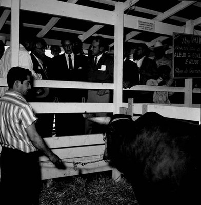 Adolfo López Mateos con políticos, durante su visita a la exposición ganadera, en su gira electoral por Chih