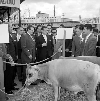 Adolfo López Mateos y Francisco Martínez de la Vega con empresarios observando unos becerros