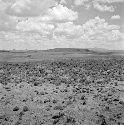 Paisaje del Rancho de Santa Gertrudis