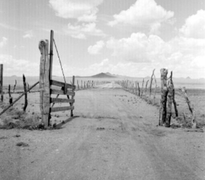 Entrada de un corral del criadero militar de caballos Santa Gertrudis