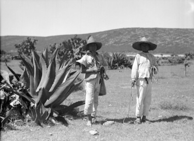 Niños junto a un maguey en el Valle del Mezquital, retrato