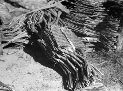 Sopladores de palma