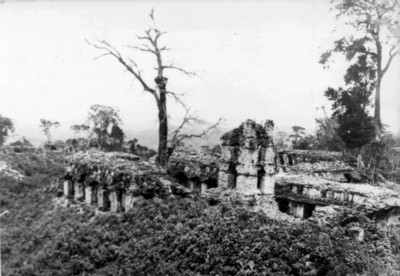 El Palacio, vista