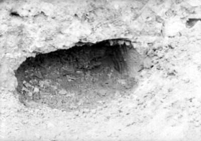 Vista de una excavación arqueológica en el Templo Mayor