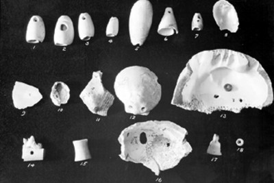 Piezas de joyería prehispánica elaboradas con caracoles y conchas, lote