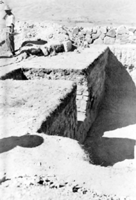 Hombres en trabajos de excavación