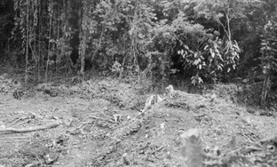 Hombres trabajan en el desmonte de la zona arqueológica de Paxilila