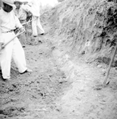 Trabajadores excavan el edificio B, vista parcial
