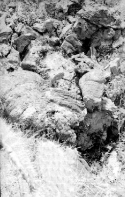 Fragmentos de piedra procedentes de Cuicuilco