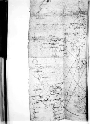 Segunda geneaología del Mapa Reinisch