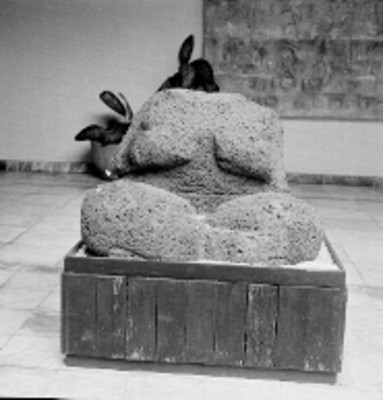 Torso femenino en posición sedente
