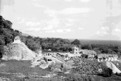 Vista de este a oeste del Templo de las Inscripciones y del conjunto del Palacio, Palenque