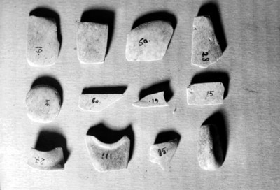 Fragmentos de piedras mayas halladas en una tumba de Palenque