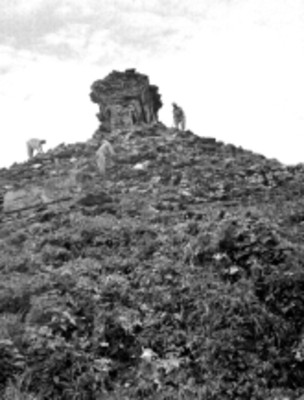 Hombres realizan desmonte en el Grupo Norte de Palenque