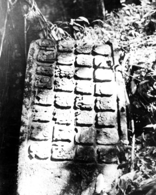 Dintel 22 de Yaxchilán, reprografía