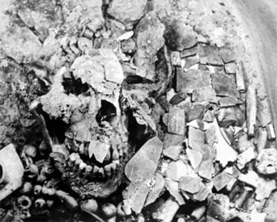 Detalle de cráneo dentro de excavación, reprografía