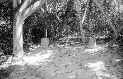 Monolitos olmecas, vista