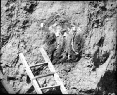 Hallazgo de restos óseos durante los trabajos de excavación en la Pirámide de la Luna