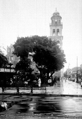 Campanario de una parroquia con parque en primer plano
