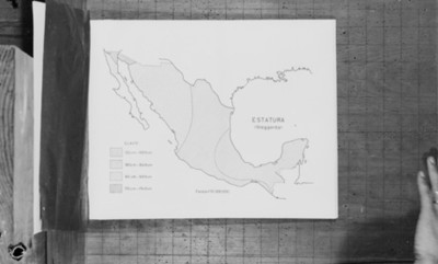 Mapa de México referente al promedio de estatura, reprografía