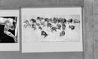 Pinturas policromadas de la Cueva de Altamira, ilustración