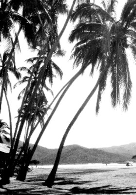 Playa "Los Hornos", paisaje