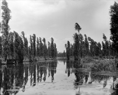 Lago de Xochimilco, panorámica