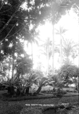 Jardín de la hacienda las Animas