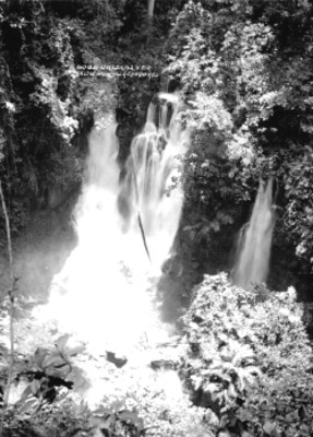 Cascada, paisaje