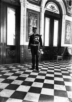 Porfirio Díaz en el Castillo de Chapultepec, retrato
