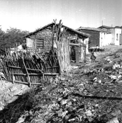 Casas en un barrio de la ciudad
