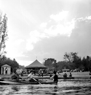 Gente rema y pasea por el lago de Chapultepec