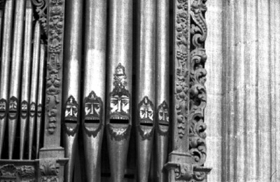 Organo de la Catedral, detalle