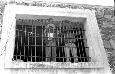 Reos en una ventana con barrotes