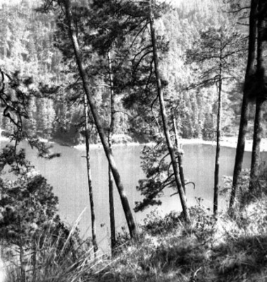 Laguna entre un bosque, paisaje