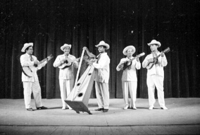 Músicos tocan durante festival folclórico