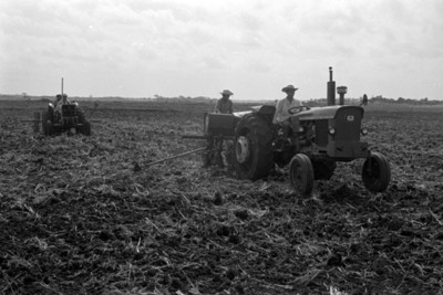 Tractores en un campo de cultivo