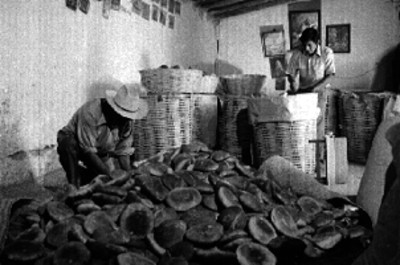 Panaderos