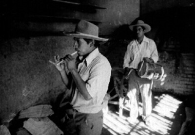 Músicos e instrumentos