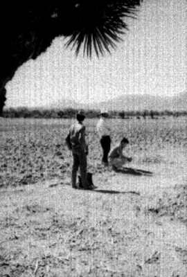 Campesinos en un campo de cultivo