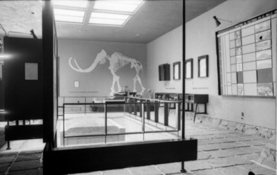 Sala del museo prehistórico de Tepexpan, vista lateral