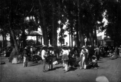 Indígenas en tianguis