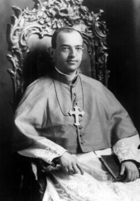 José Juan de Jesús "Herrera y Piña", Obispo de Tulancingo, retrato