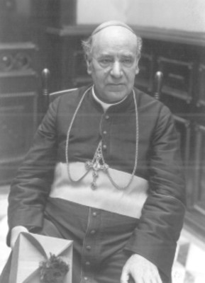 Leopoldo Ruíz y Flores, arzobispo de Michoacán, retrato