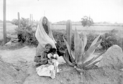 Niños en una vereda con cactus